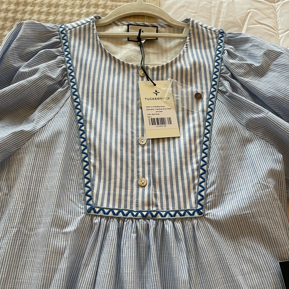 Tuckernuck Striped Blue Dress with Pom Pom Trim - Picture 3 of 9